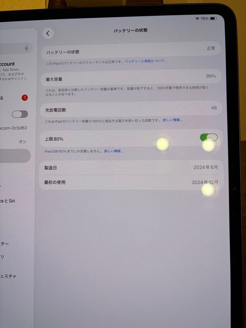 ipad Pro M4 13 1TB + Apple pencil pro など