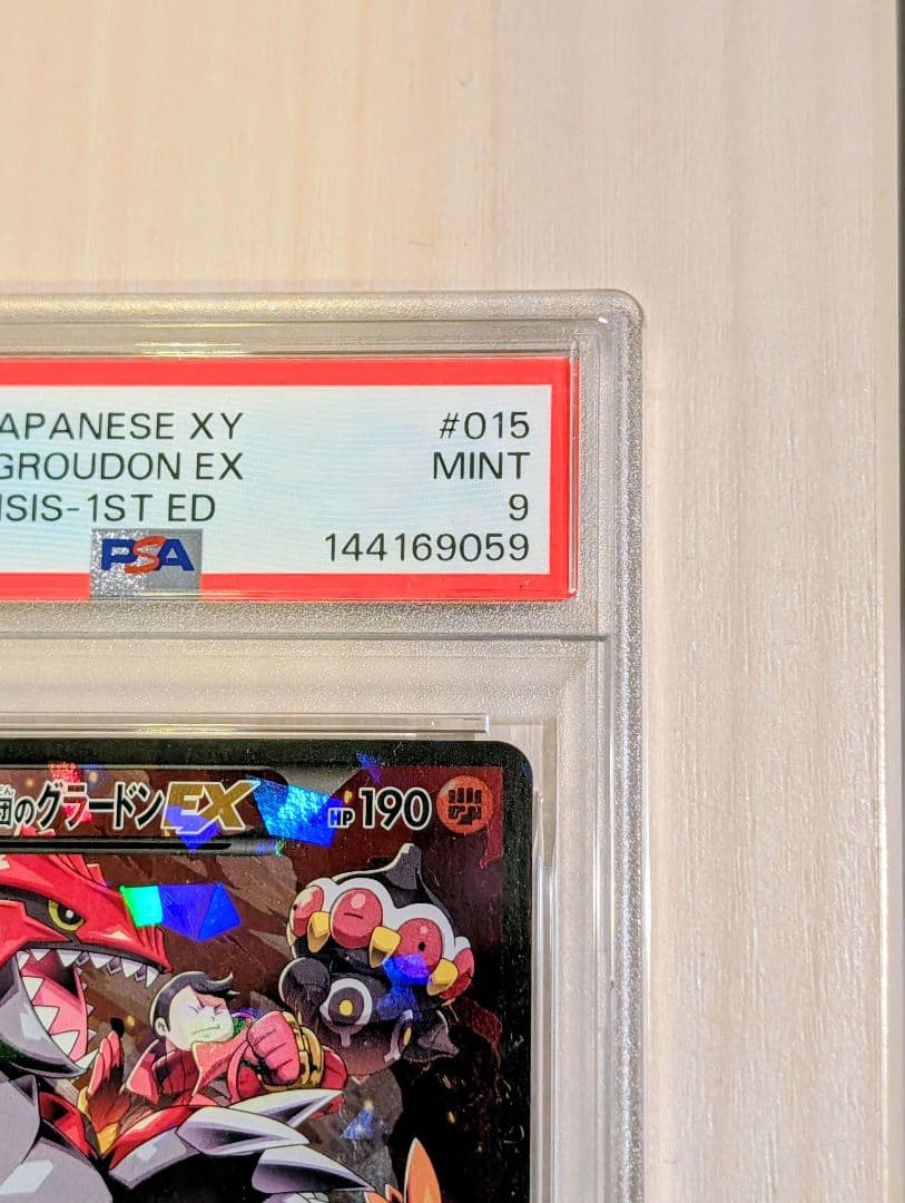 マグマ団のグラードンEX RR / アクア団のカイオーガEX RR