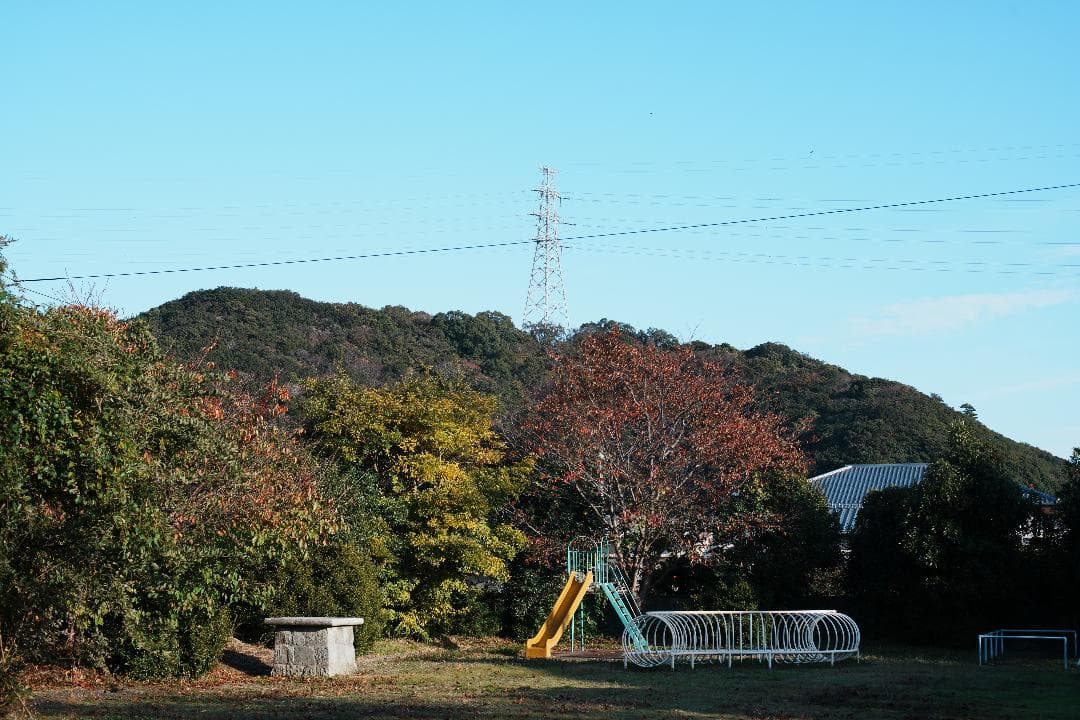 【整備＆テスト済】Nikon Ai Nikkor 50mm F1.4 452