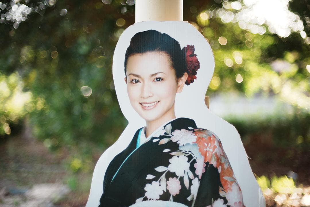 【整備＆テスト済】Nikon Ai Nikkor 50mm F1.4 452