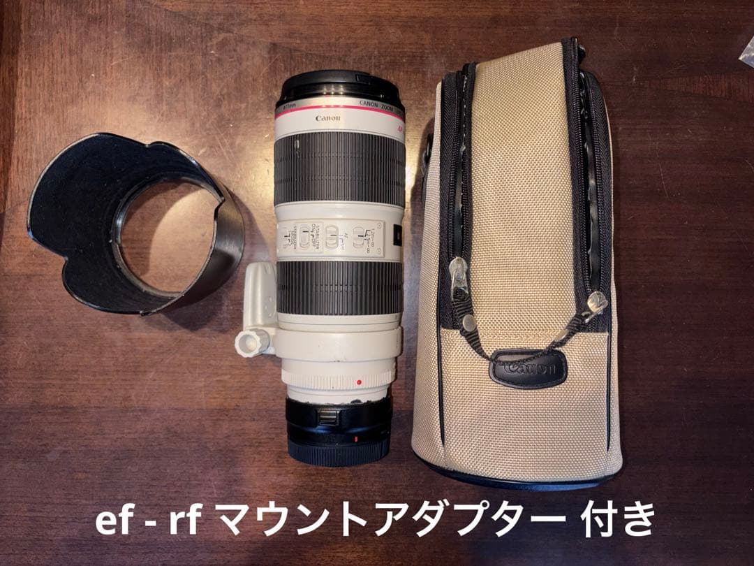 Canon EF 70-200mm F2.8L IS Ⅱ USM