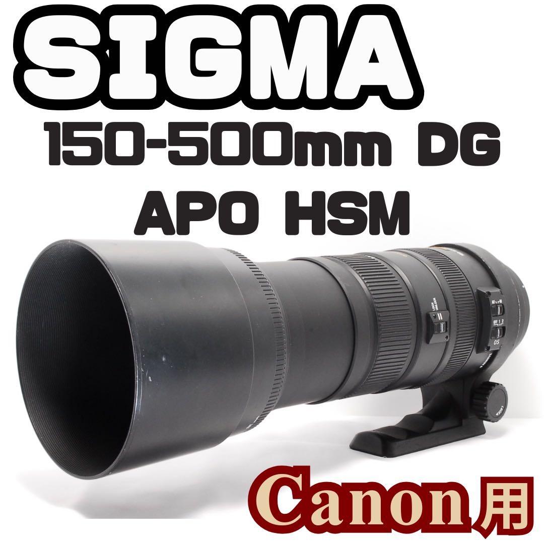 超望遠の世界へ！ SIGMA 150-500mm DG HMS Canon用