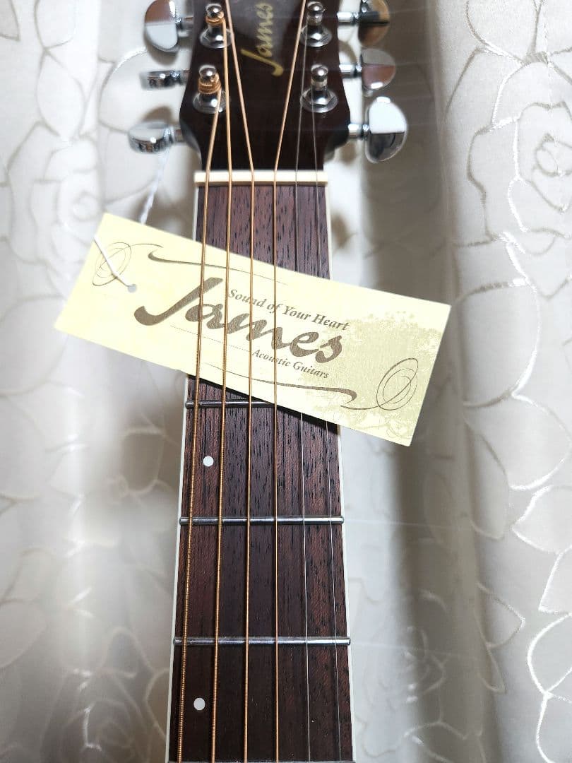 James J-300A CAO アコースティックギター　イシバシ楽器