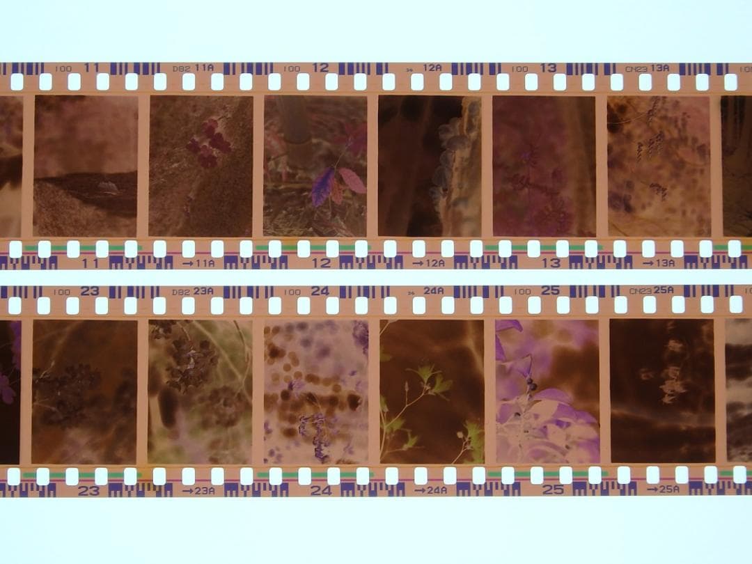 OLYMPUS オリンパスペンF　整備、実写済み　OLYMPUS PEN-F