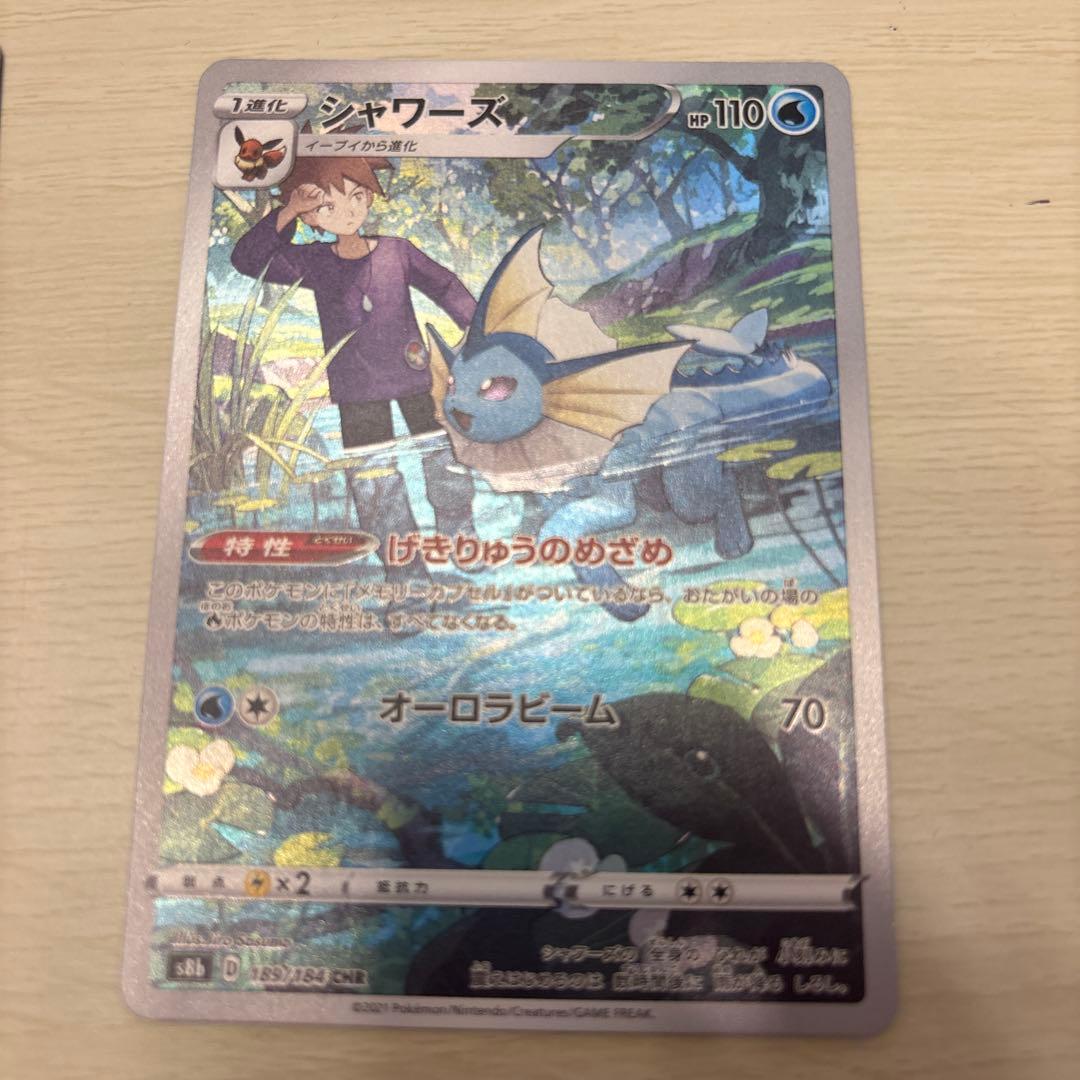 リザードンCHR サンダースCHR ゼクロムCHR他全6枚