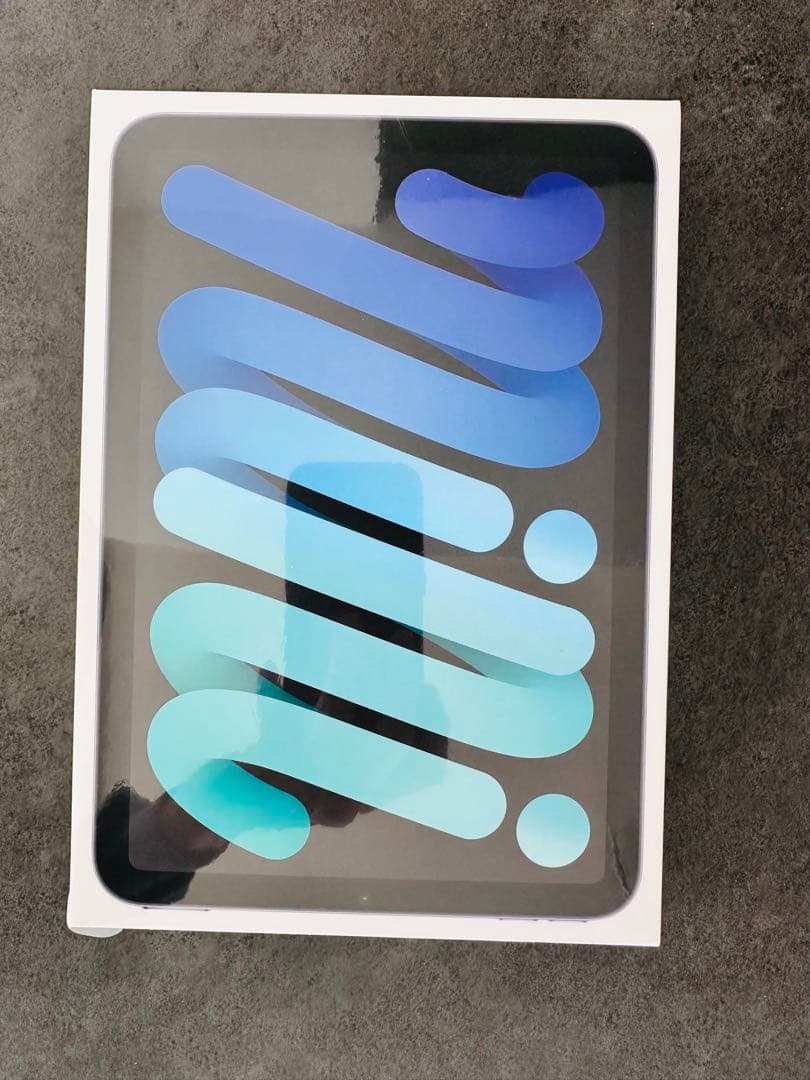 Apple iPad mini (第6世代) 256GB スペースグレー