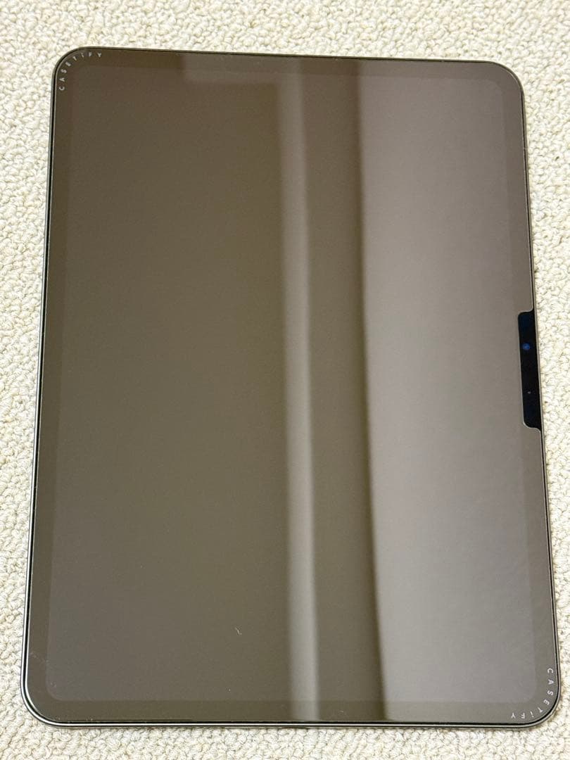 11インチ iPad Pro (M4) 256GB Wi-Fiモデル 本体のみ