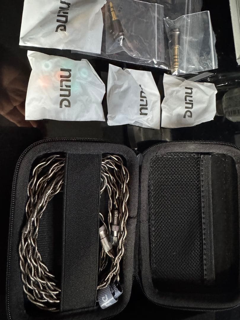 イヤホン DUNU davinci