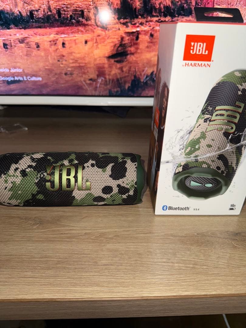 JBL FLIP7 迷彩 SQUAD