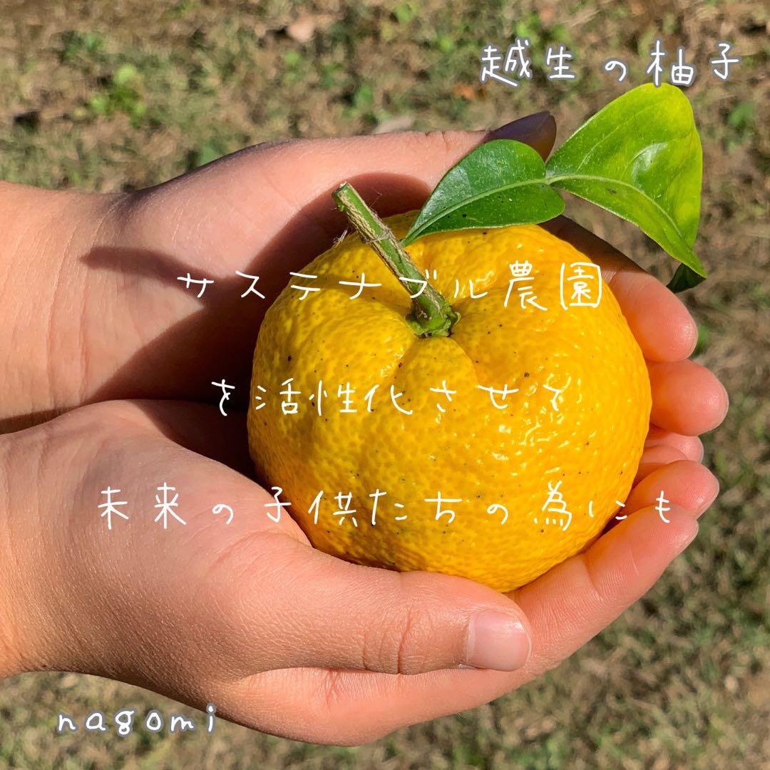 20年間農薬＆化学肥料不使用のNAGOMIの柚子10kg