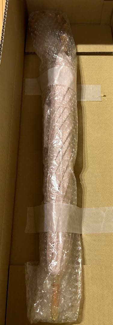 石井美保さん 日傘