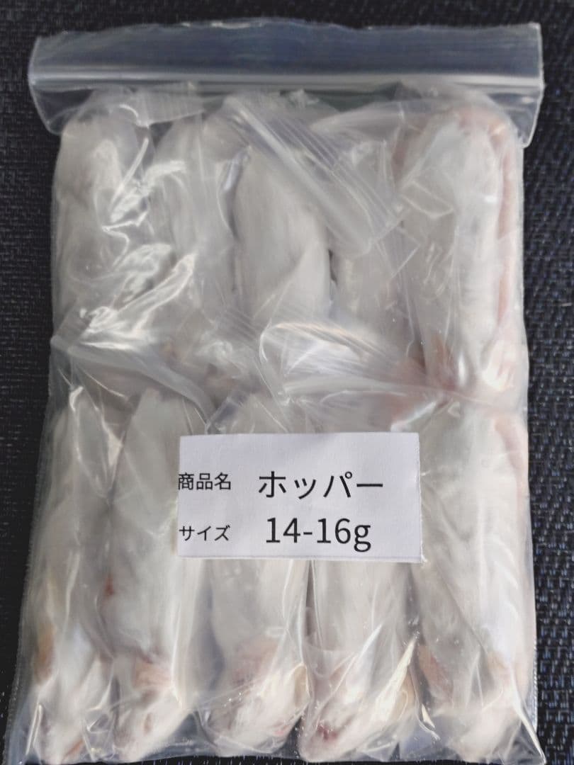 Hurze1フタホシML〜Ｌ200、冷凍マウスファジー30匹ホッパー30匹