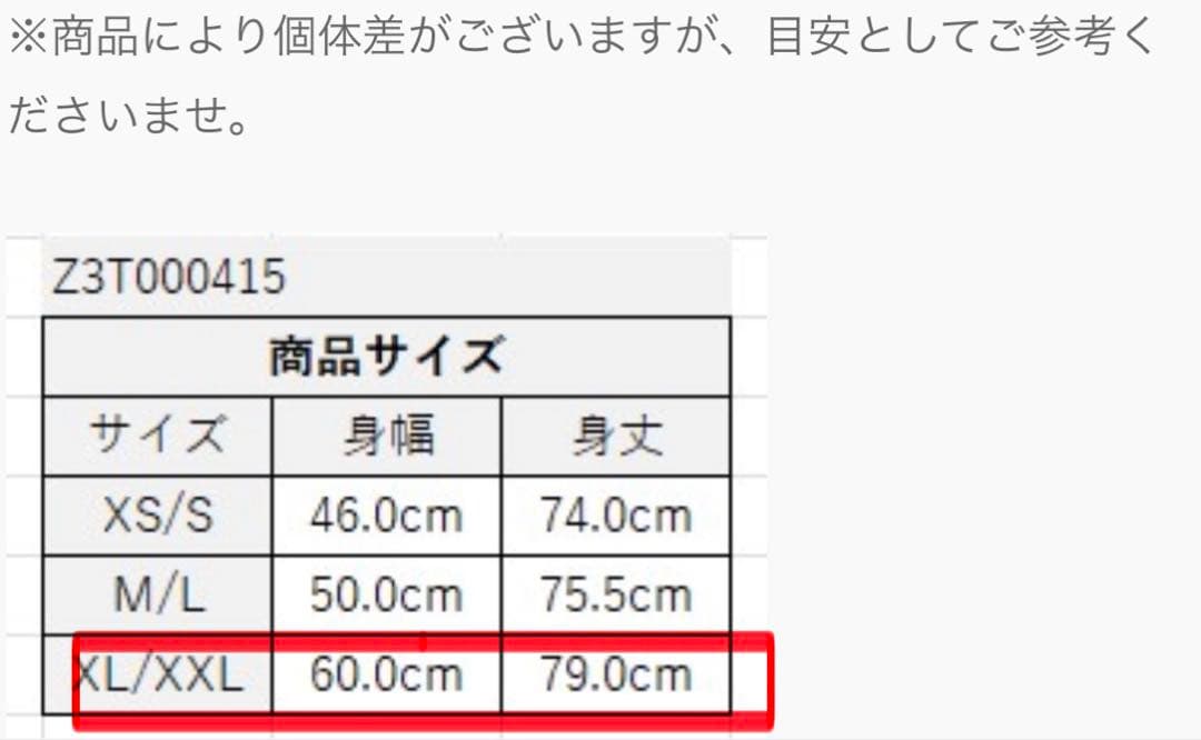 正規品 JAPAN original 新品 ZUMBA Tシャツ黒 XL/XXL