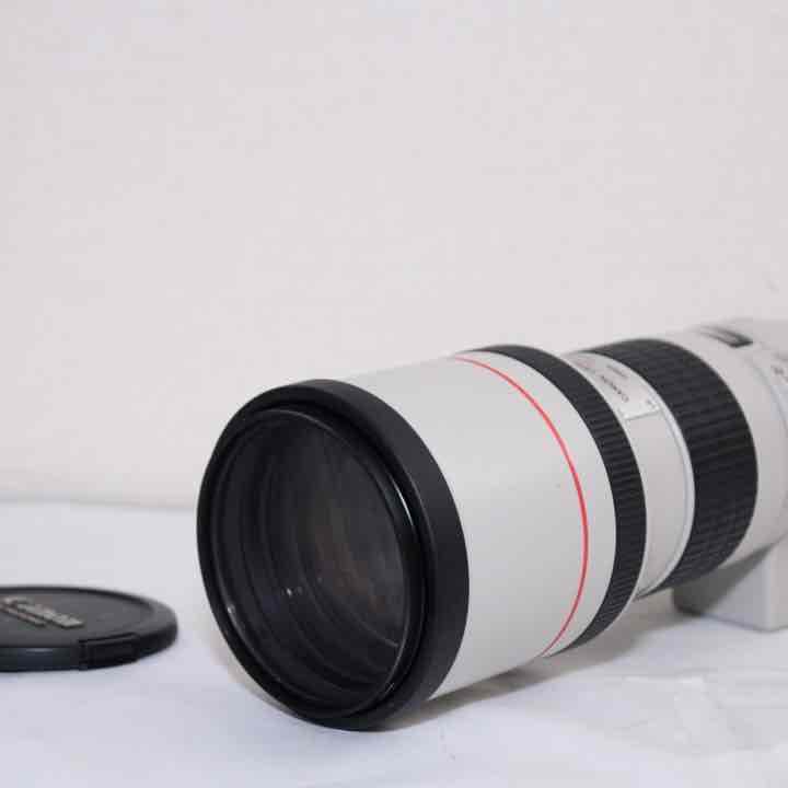 憧れのCanon 単焦点望遠レンズ EF300mm F4L