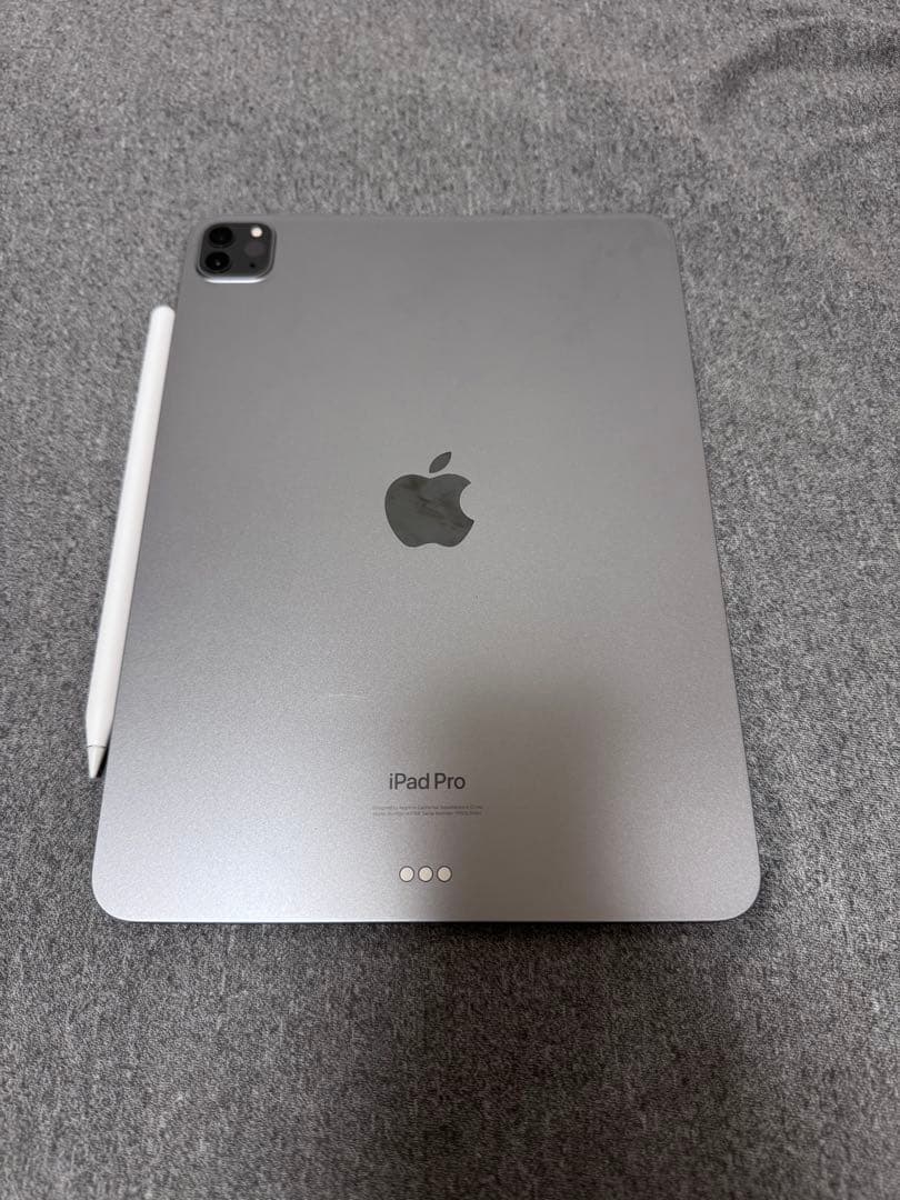 iPadプロ11インチ 第4世代 256GB WiFiモデル