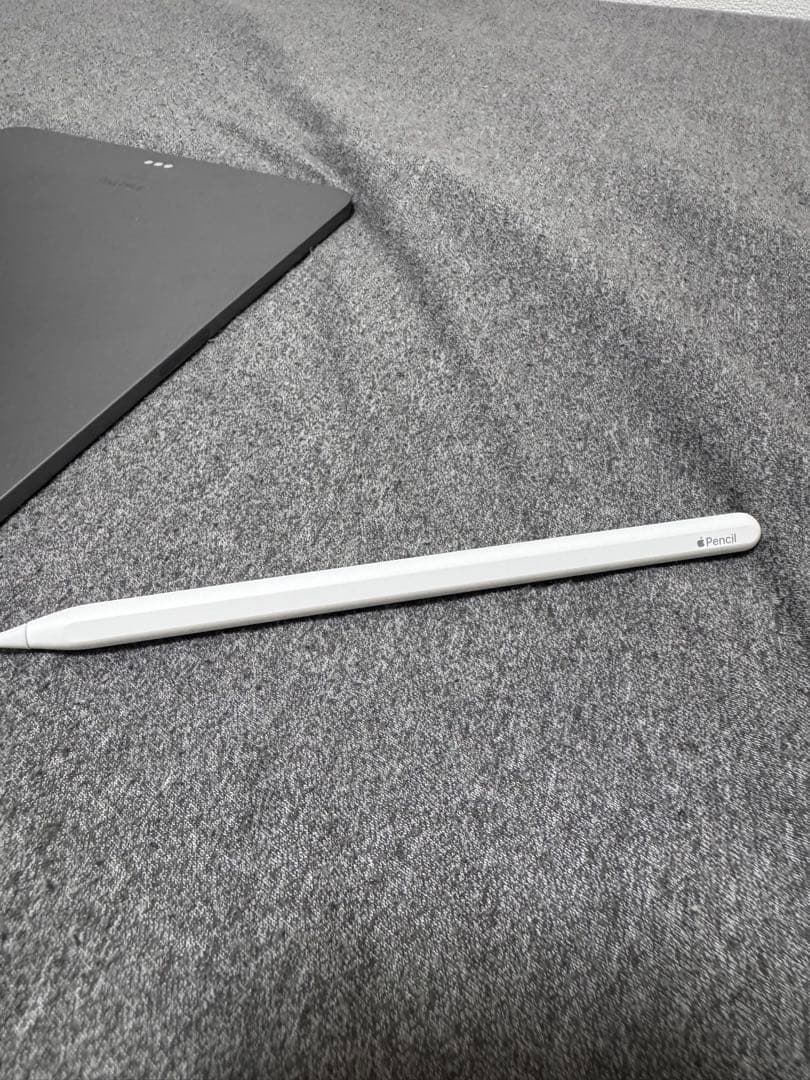 iPadプロ11インチ 第4世代 256GB WiFiモデル