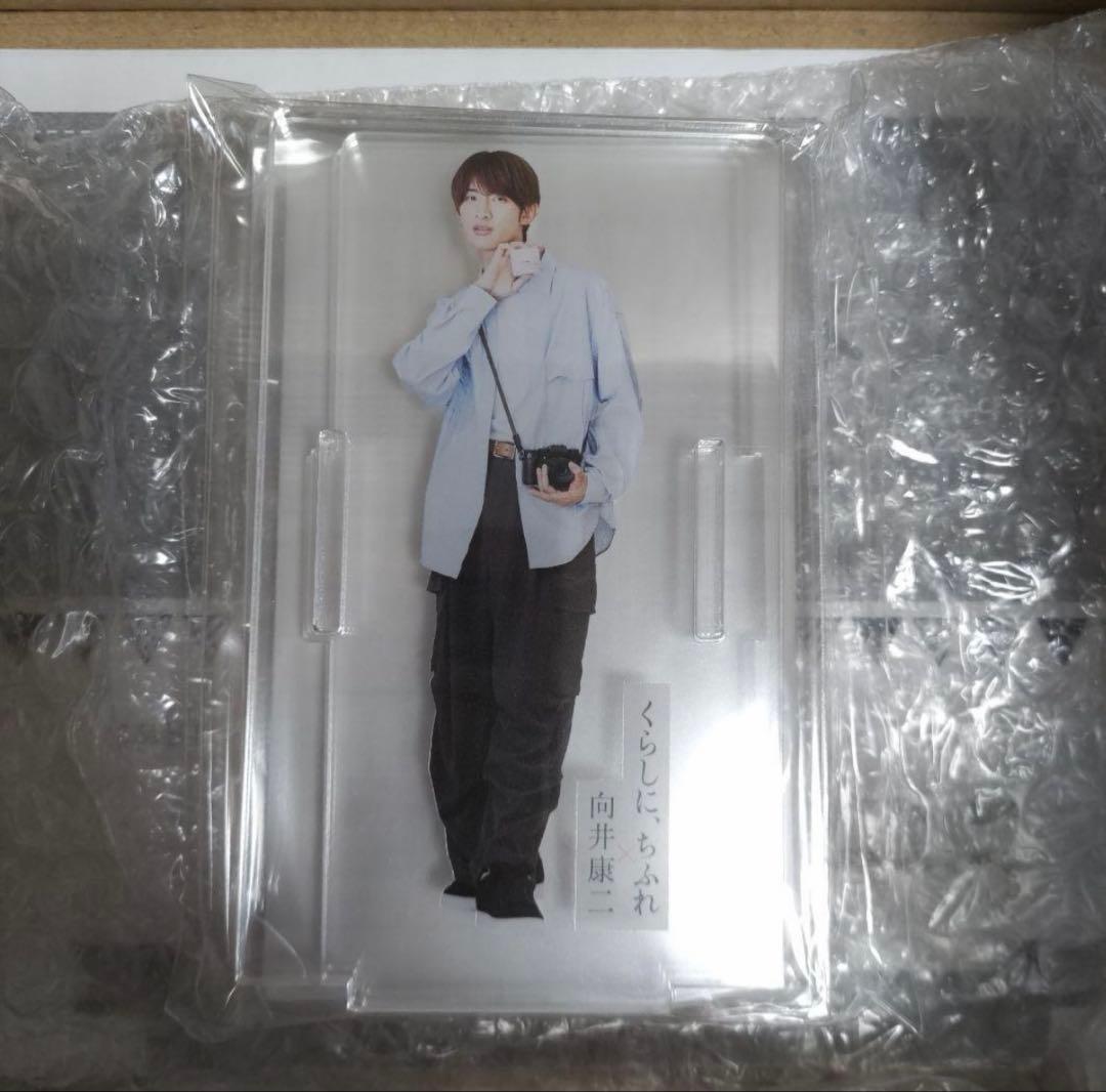 向井康二　アクリルスタンド