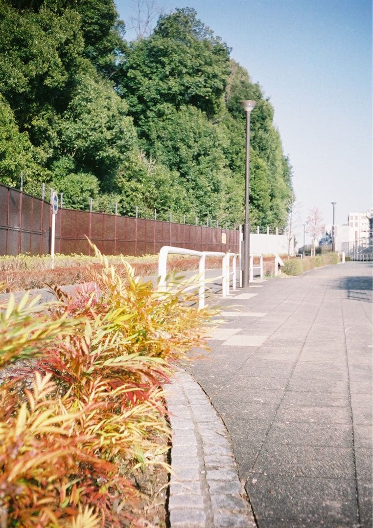 【動作確認・清掃済み＊試写あり】花柄 リコーオートハーフE