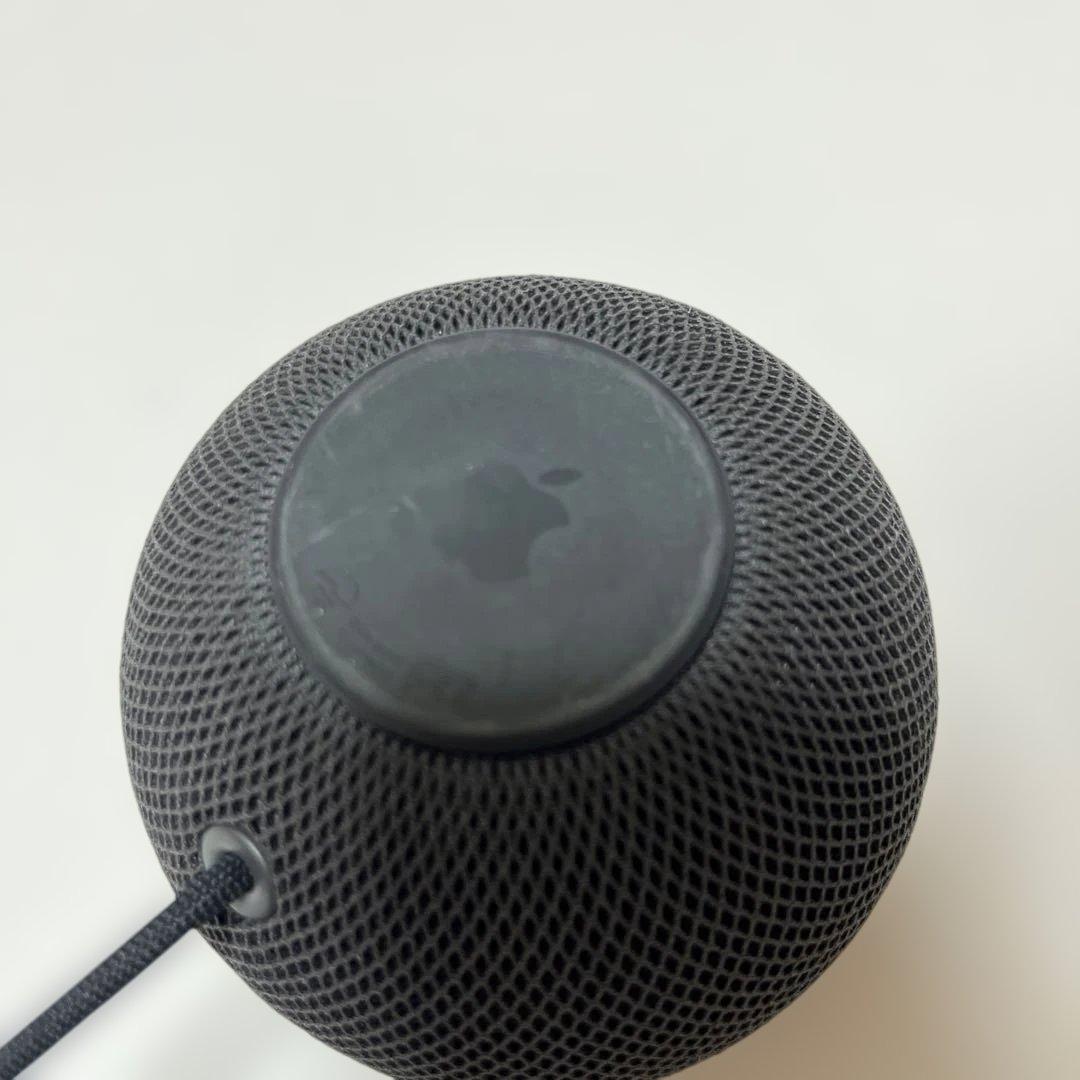 Apple Pod mini MY5G2J/A ブラック