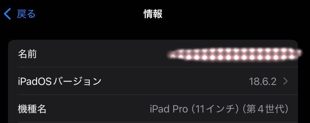 iPadPro11インチ 第4世代 128GB本体