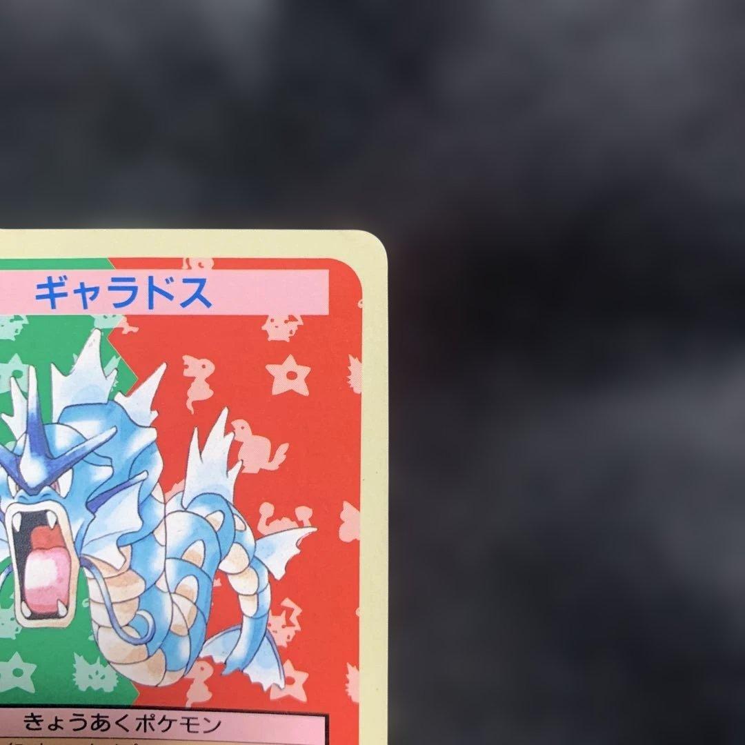 トップサン ギャラドス 裏青エラーカード