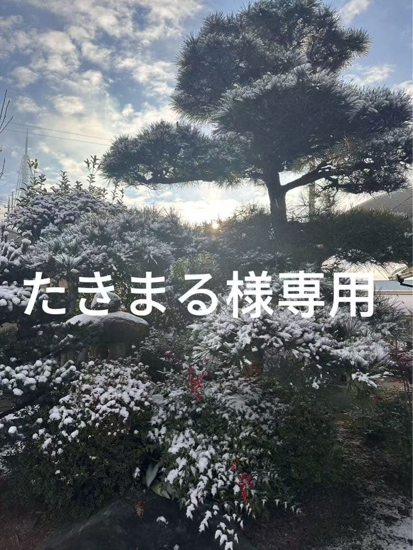 ポケモンカードゲーム インフェルノX メガシンカニア セット