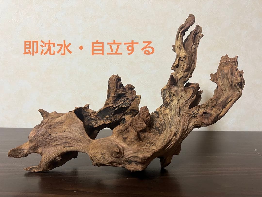 HX-003 流木　ホーンウッド　マシンガンウッド　アクアリウム　ブランチウッド