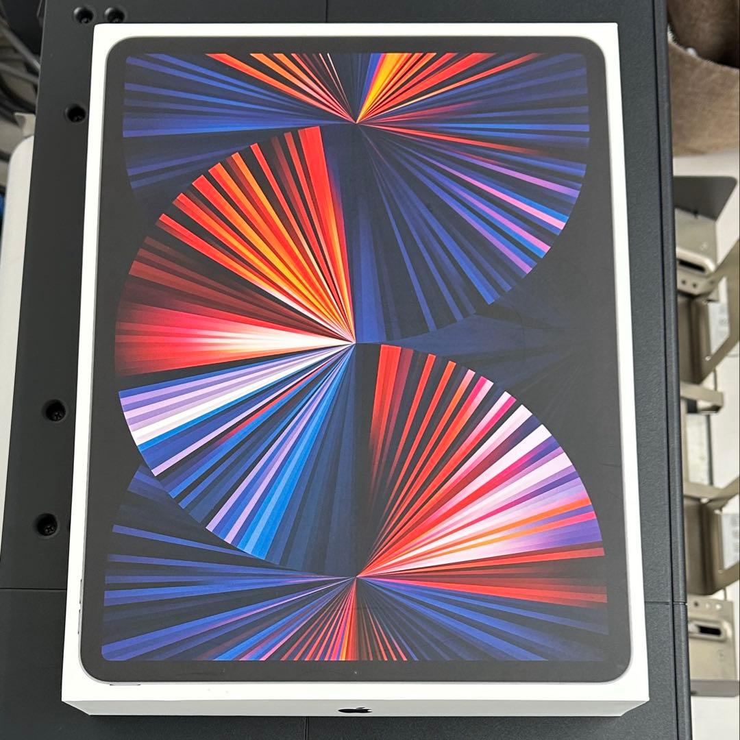 【美品】iPad Pro 12.9 第5世代 Wi-Fiモデル