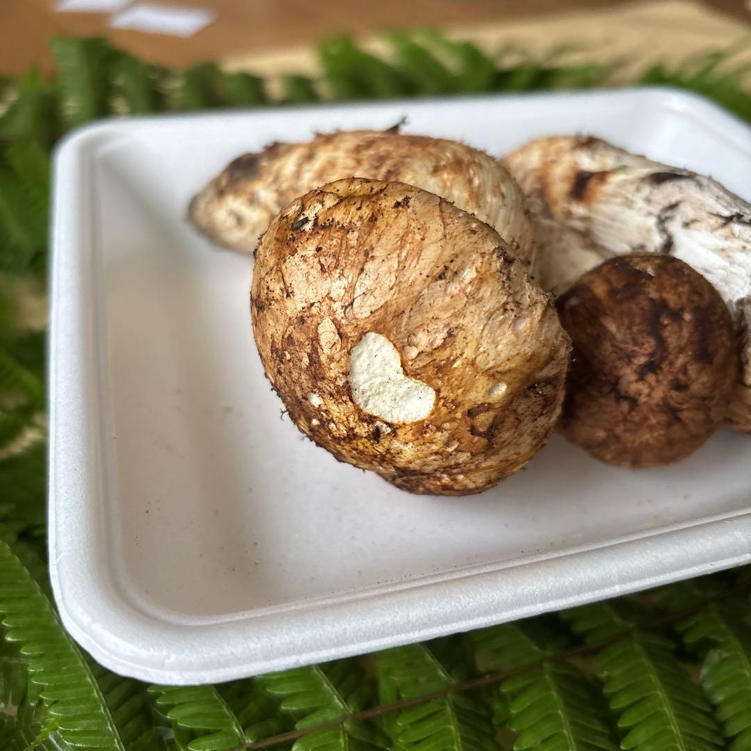 広島県産 松茸３本（197g）1️⃣