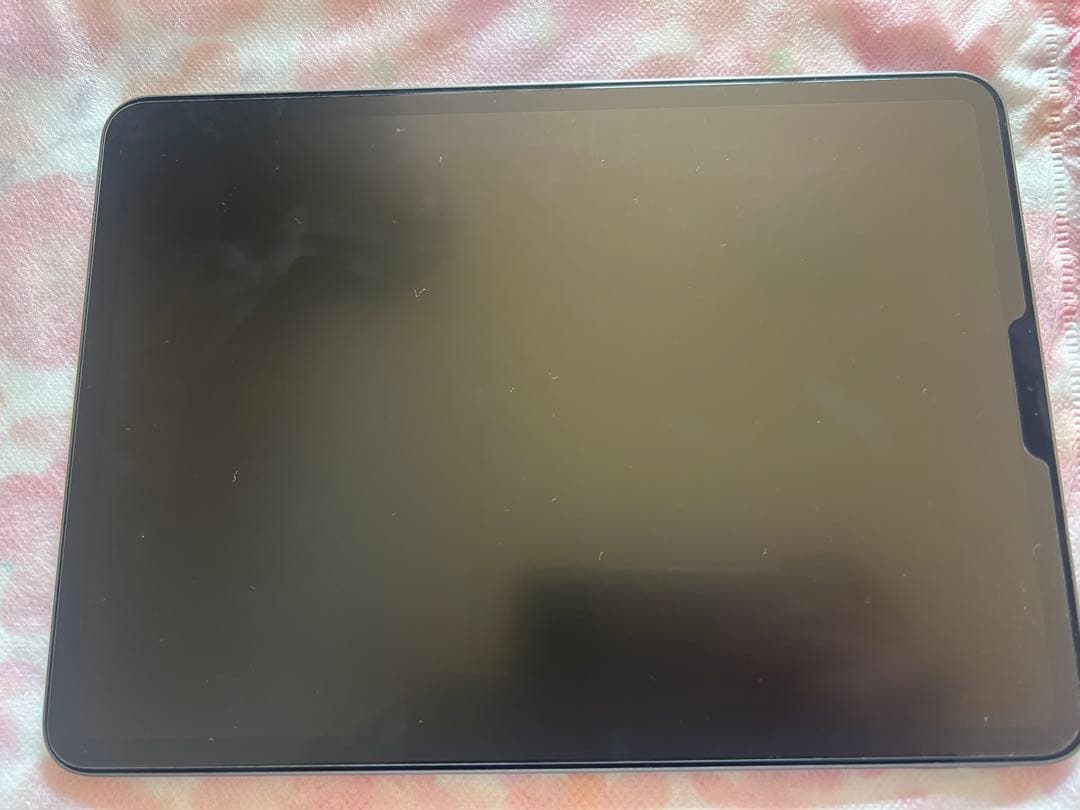 Apple iPad Pro第二世代128GB バッテリー残量100%