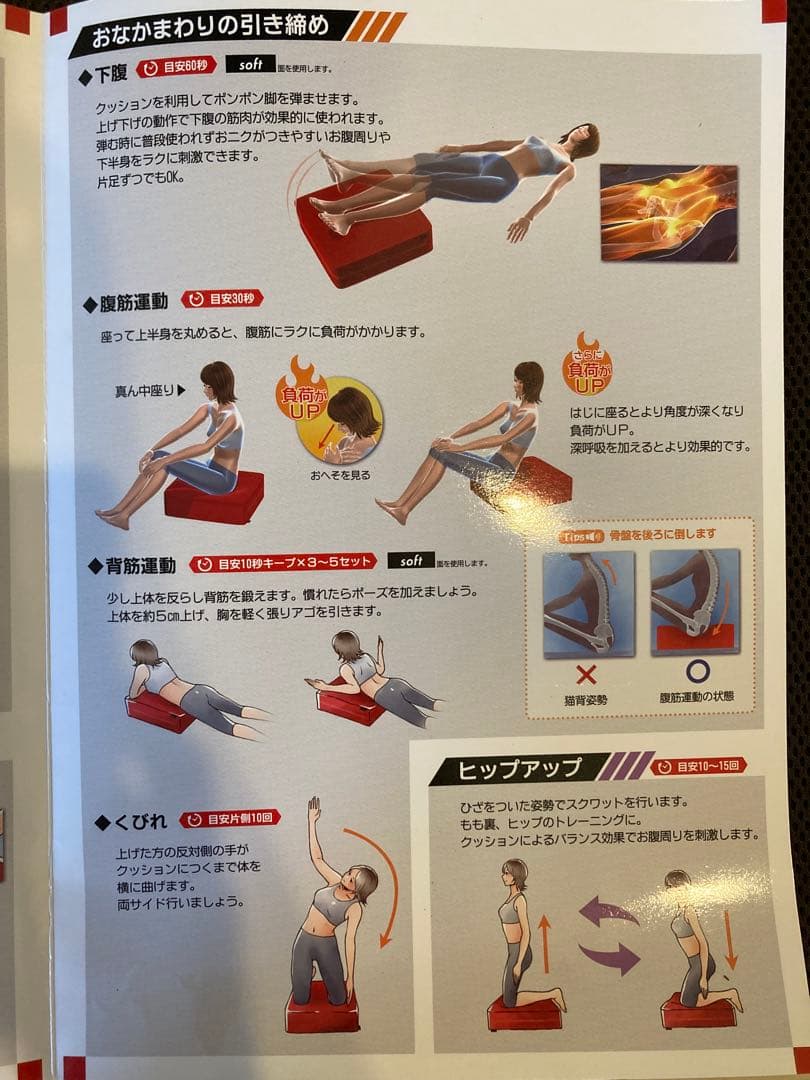 ディノス　パーフェクトエクサ　ブラウン　エクササイズクッション