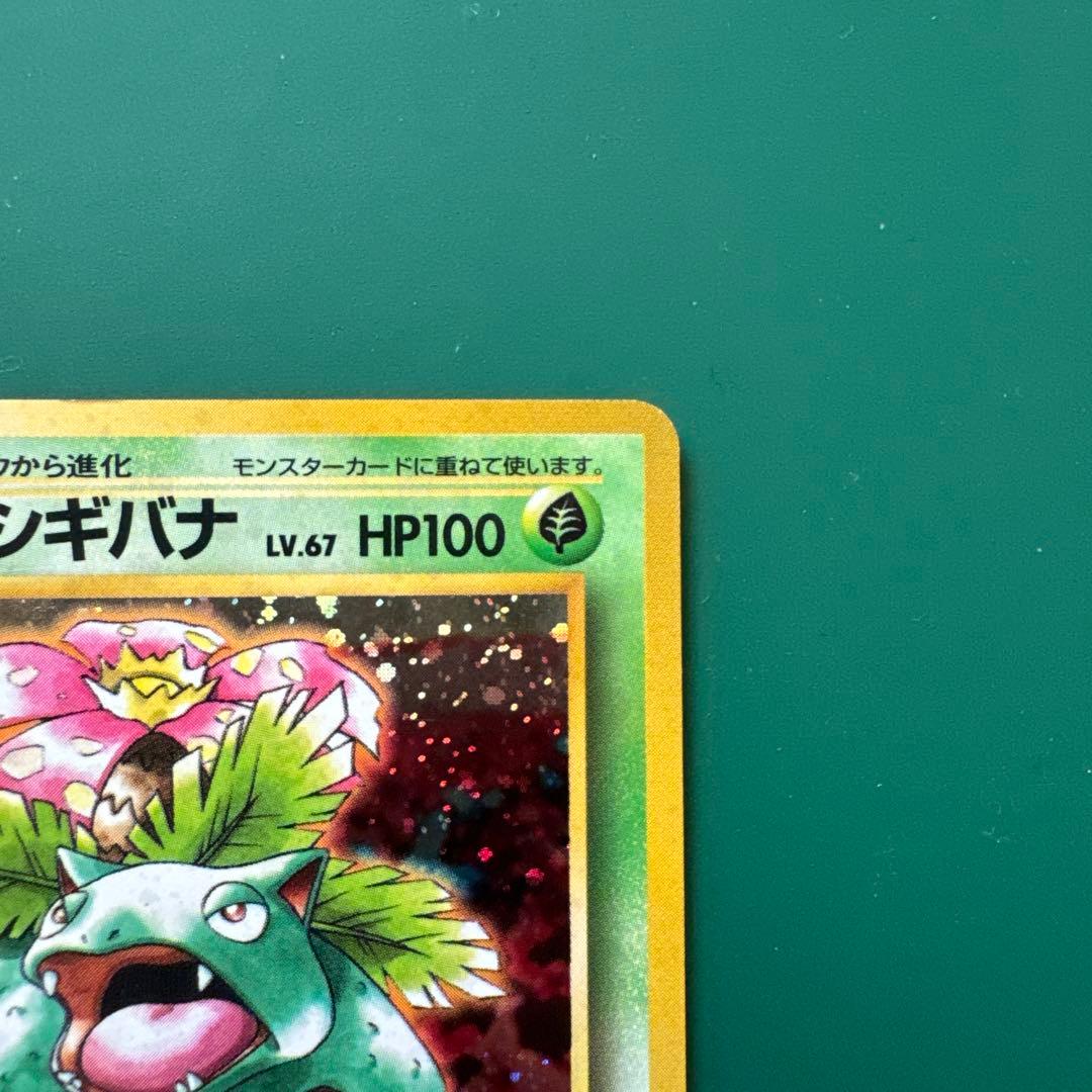 フシギバナ_「とりかえっこプリーズ」 キャンペーンカード PROMO 第1世代…