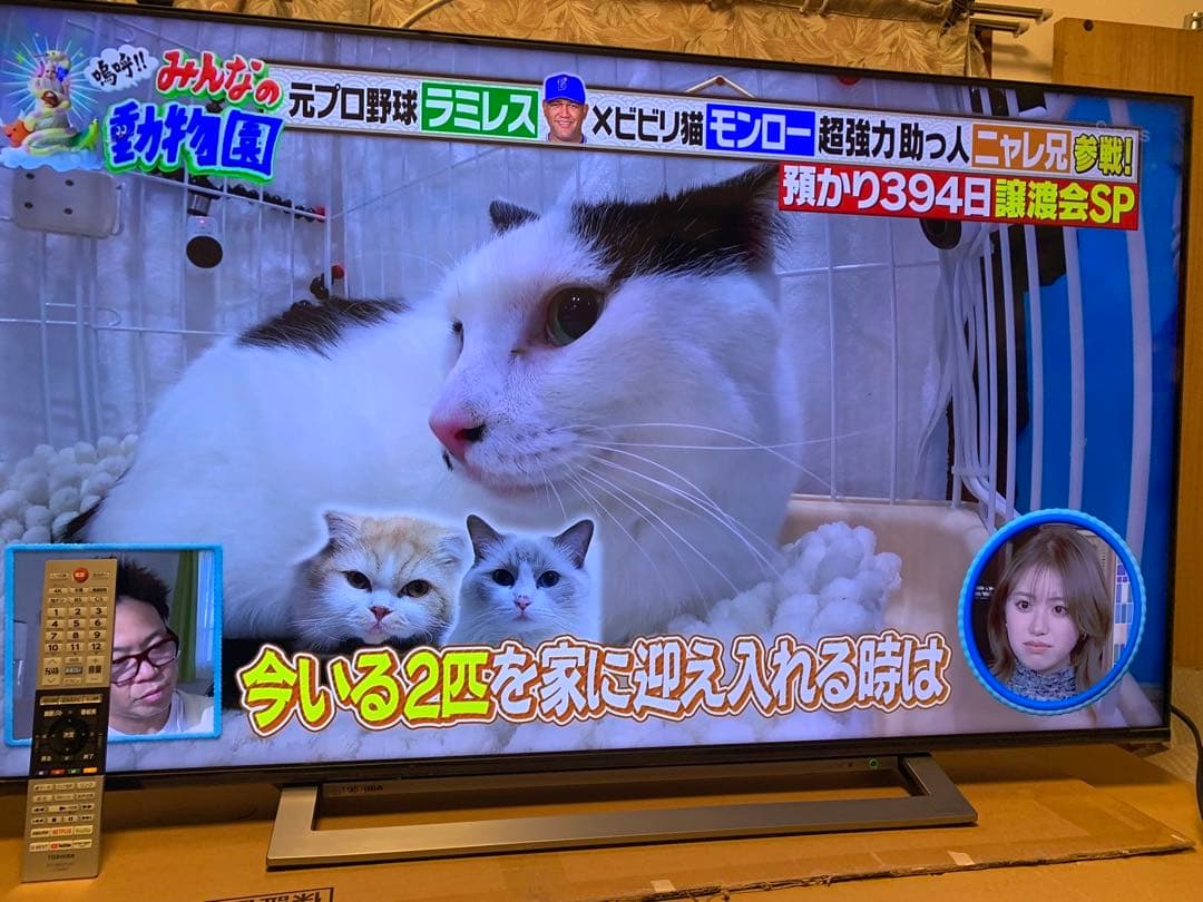 東芝 50V型 液晶テレビ レグザ 50M530X