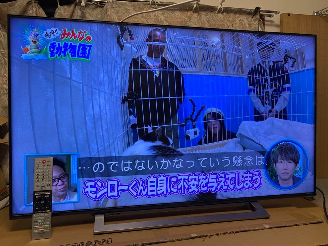 東芝 50V型 液晶テレビ レグザ 50M530X