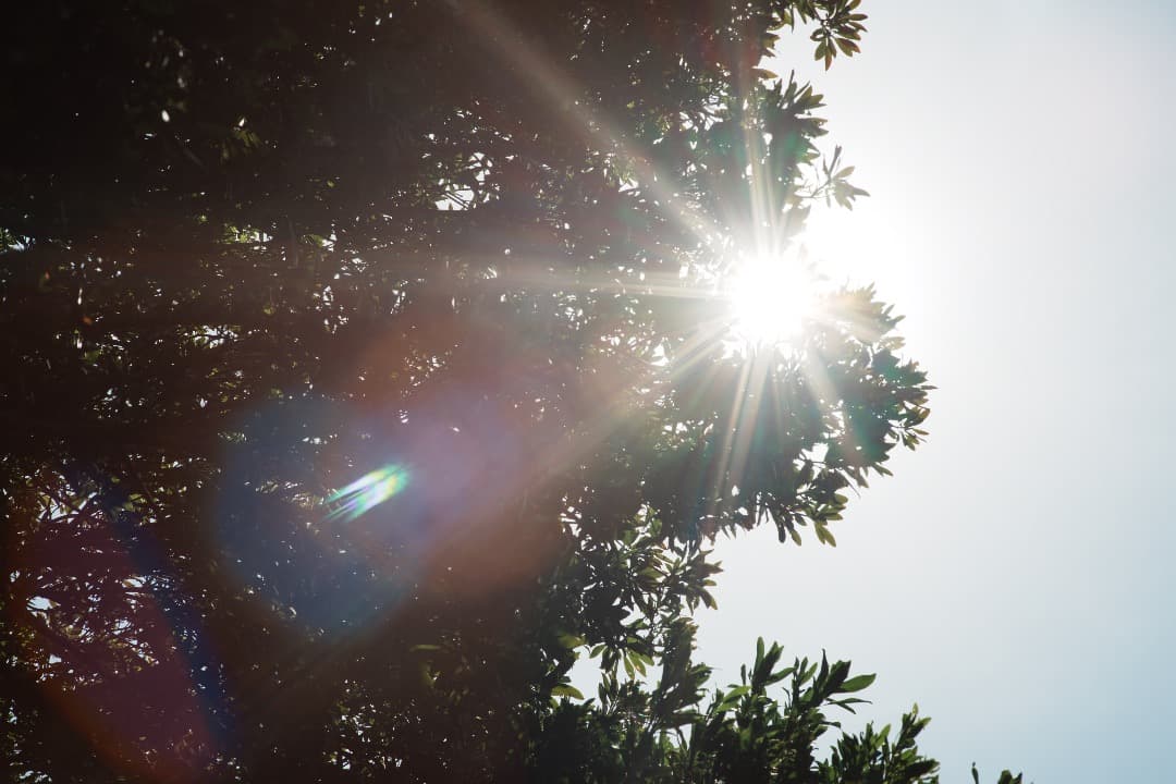 【詳細テスト】Nikon AF Nikkor 85mm F1.4D IF 569