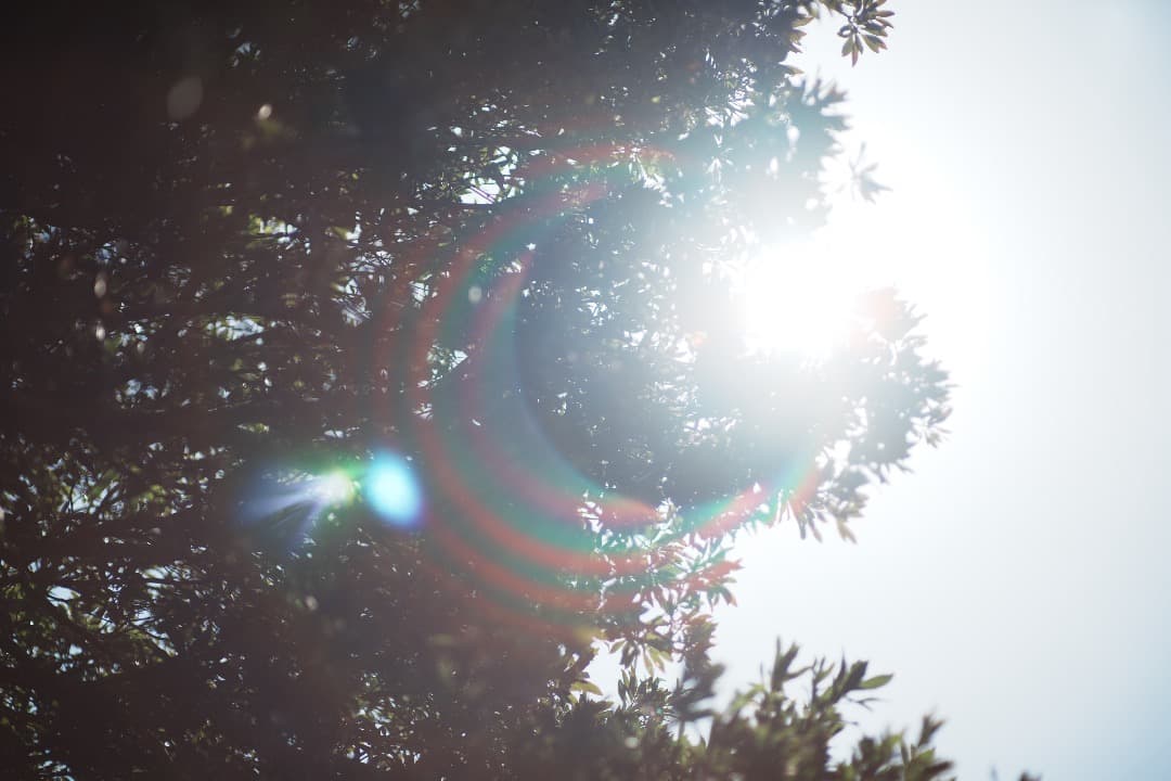 【詳細テスト】Nikon AF Nikkor 85mm F1.4D IF 569