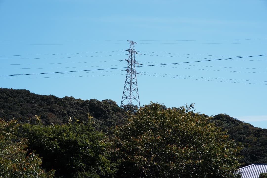 【詳細テスト】Nikon AF Nikkor 85mm F1.4D IF 569