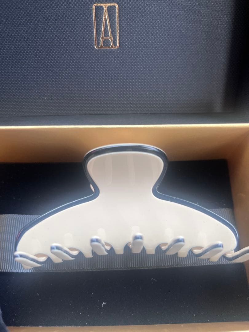 新品　ALEXANDRE DE PARIS ☆LISERAI Mクリップ