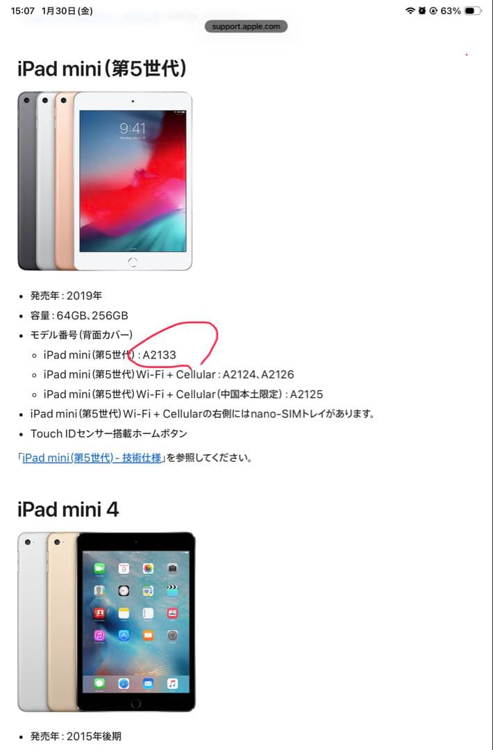 2019 iPad mini Wi-Fi 64GB - シルバー