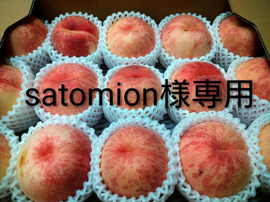 硬い桃山形県産(CX／シーエックス)専用