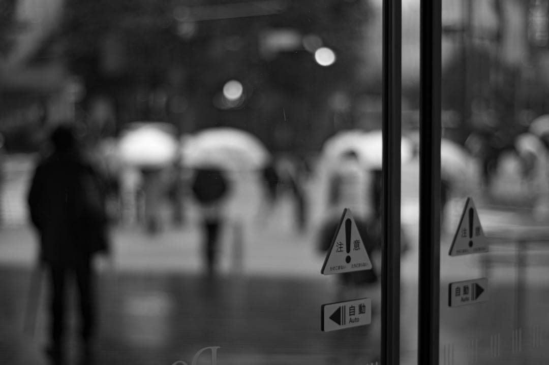 ボケ味美しい撒き餌レンズ！SMC PENTAX-DA 50mm F1.8
