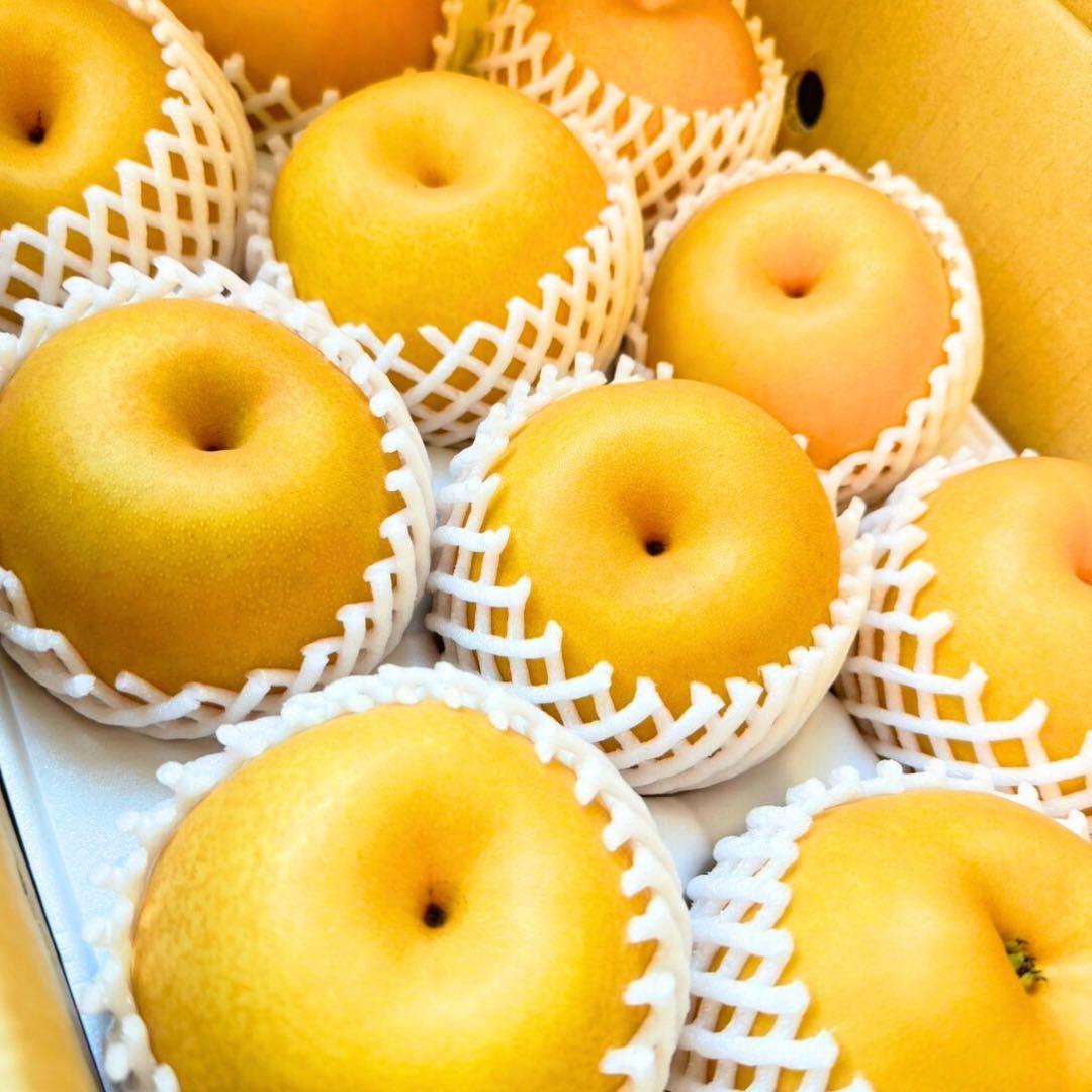 梨　新高梨　10玉　　08