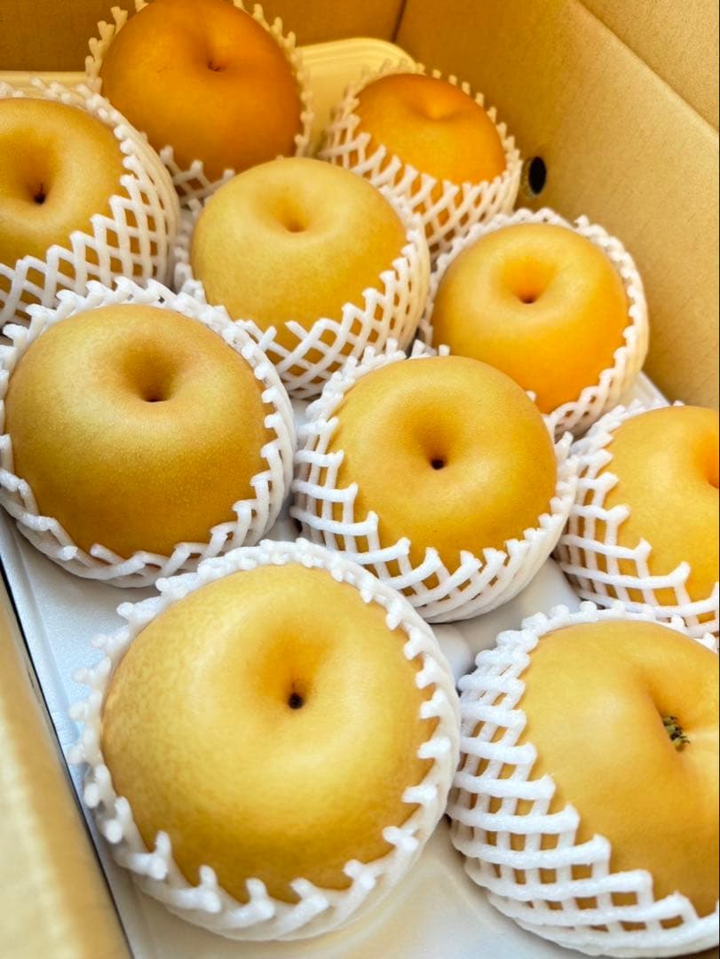 梨　新高梨　10玉　　08