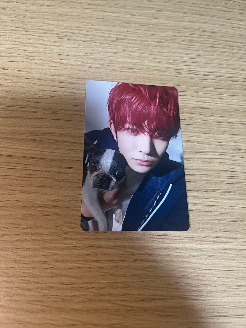 ENHYPEN アンケート 2025 限定トレカ ヒスン