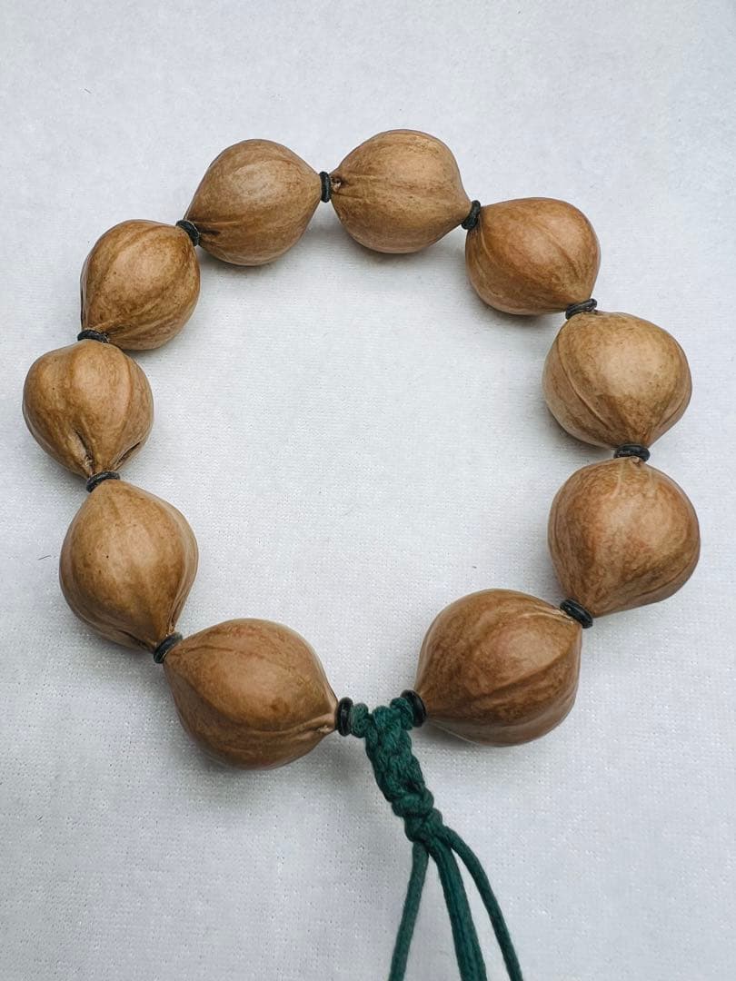 ツゲ様 文玩堂：オリーブ核の原核21mmとオリーブ核彫刻の本