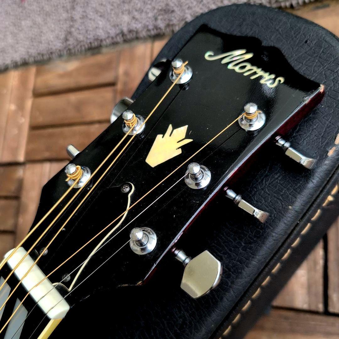 MORRIS ハミングバードDOVE WD−25 チェリーサンバースト！