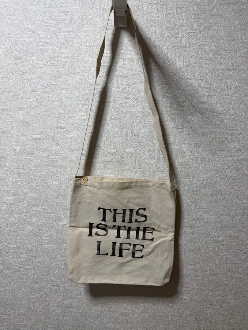 バッグ visvim CANVAS RECORD BAG