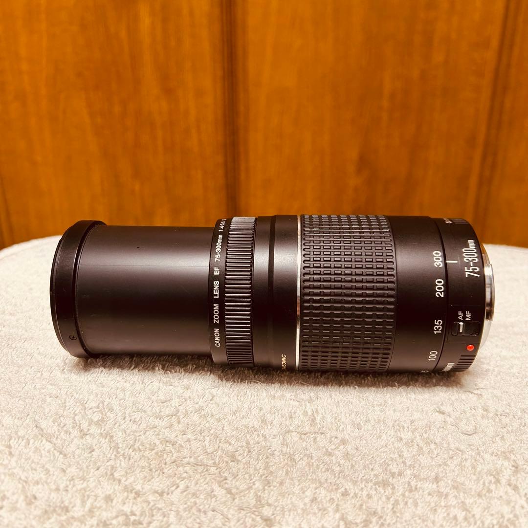 Canon EF 75-300mm 4-5.6 III USM 超望遠レンズ