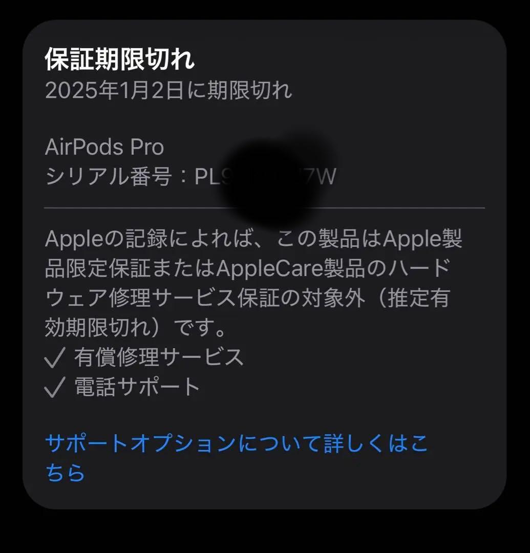 か*み様 AirPods Pro 本体 第二世代　Type-C