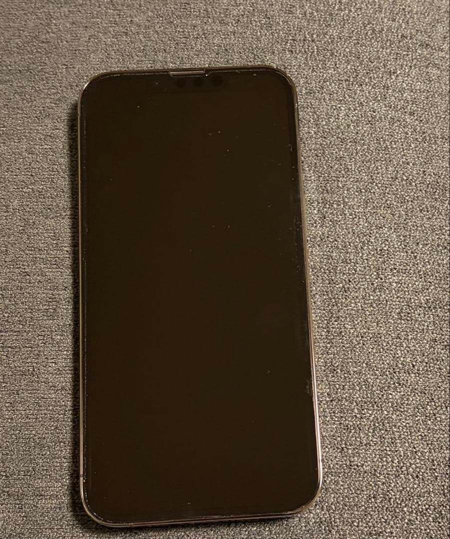 iPhone 13 Pro グラファイト 128GB 充電ケーブル付き